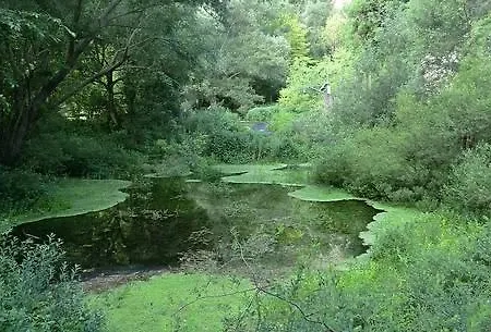 Nocleg ze śniadaniem Linda Sulmona
