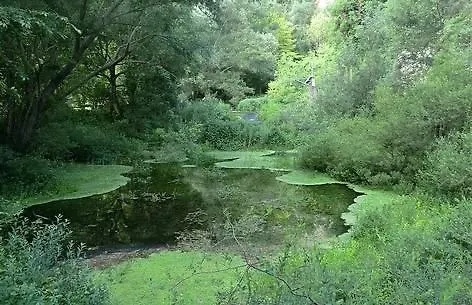 Panzió Linda Sulmona